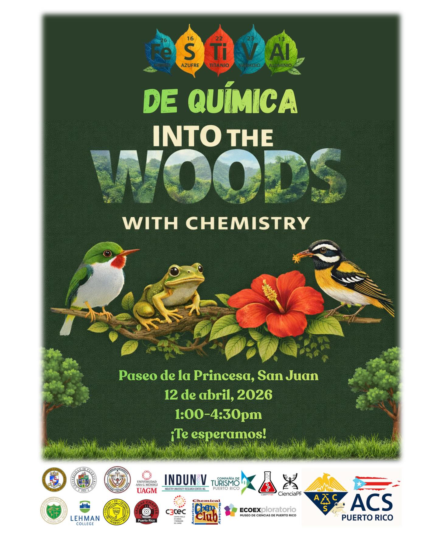 CCEW Into the Woods